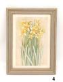 Quadri Daffodils - Scegli il Modello