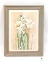 Quadri Daffodils - Scegli il Modello