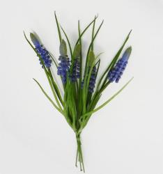 Mazzetto di Muscari