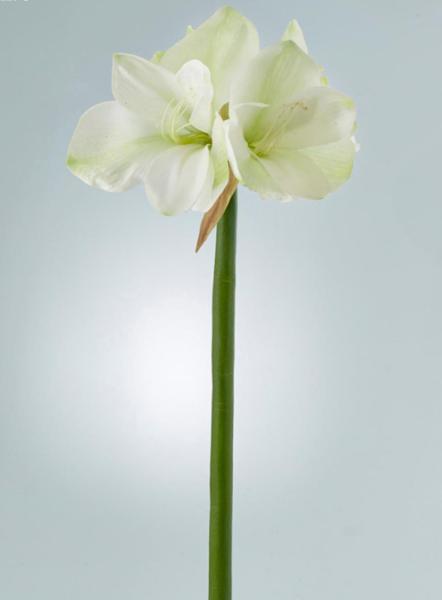 Amaryllis Artificiale Superior