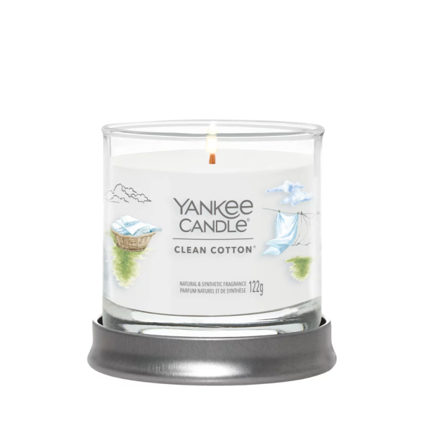 Giara Piccola Baby Powder Yankee Candle – Mondo Verde Garden