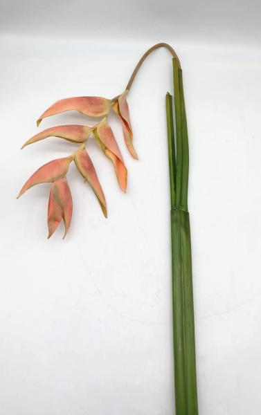 Fiore Tropicala Heliconia Pendula - Scegli il colore