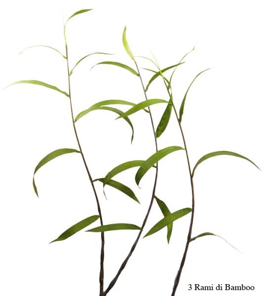 Ramo di Bamboo